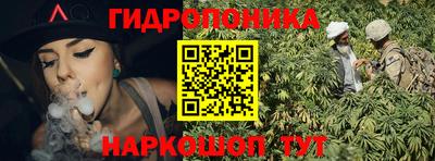таблы Новозыбков