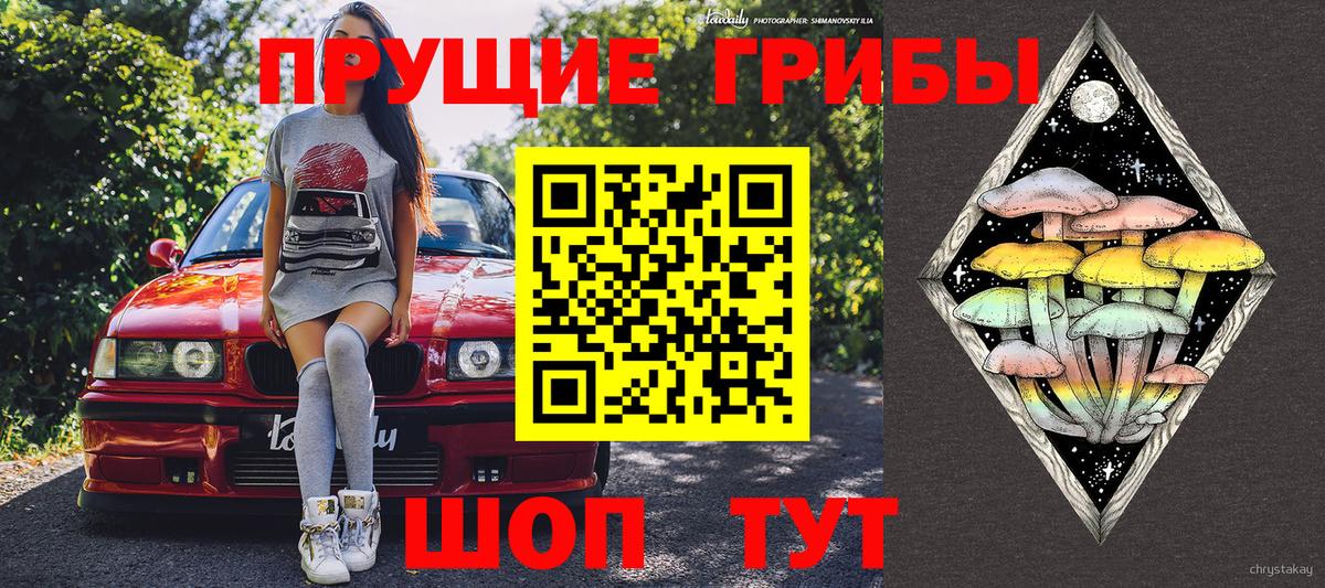 Галлюциногенные грибы ЛСД  Вход с VPN  Унеча 